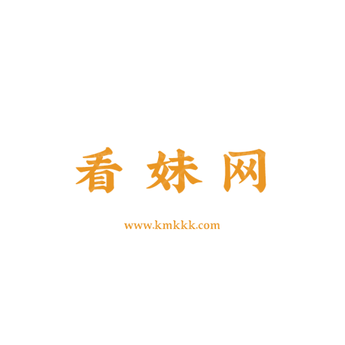 新世紀(jì)數(shù)碼logo設(shè)計(jì)